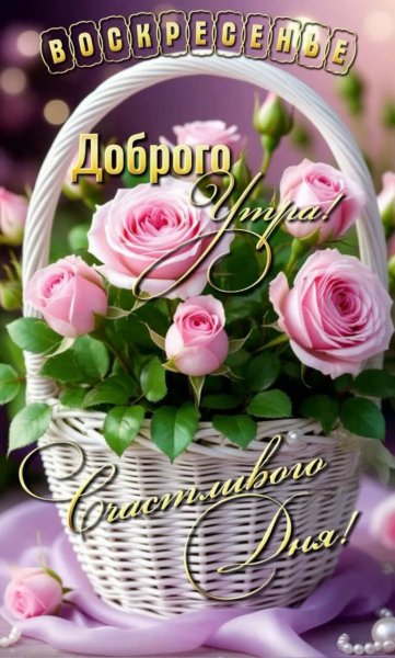 IMG-20250803-WA0001