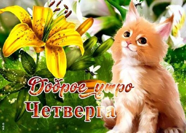 Доброе утро четверга!