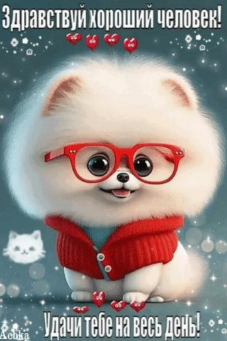 file_93397561
