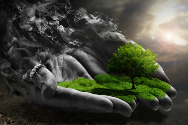 Wallpapers 5362
