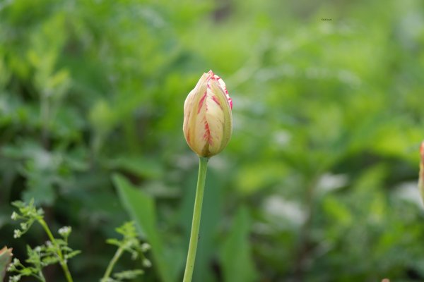 05.05.2025