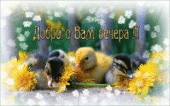 Доброго вечера!