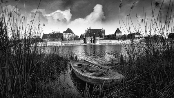 file_94650182