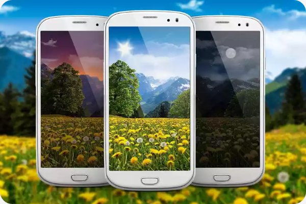 Mountain Dandelions PRO 1.19