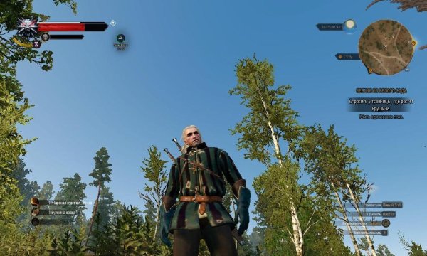 witcher