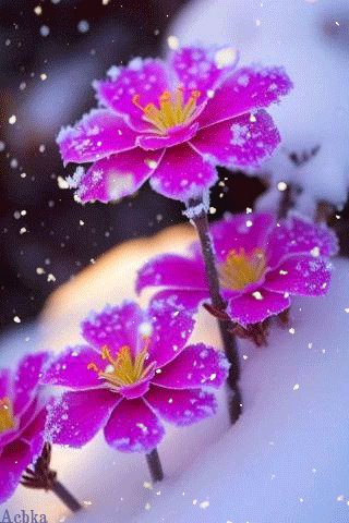 file_95708954