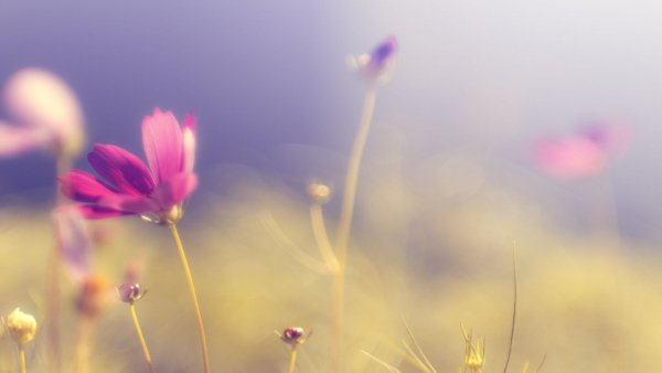 file_84088150