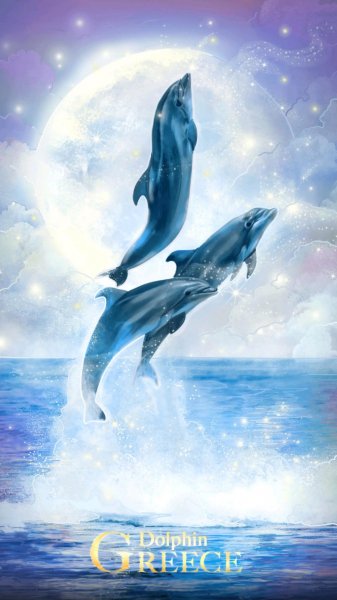 5dfb2b1ea4e54ab05840a790wallPaper