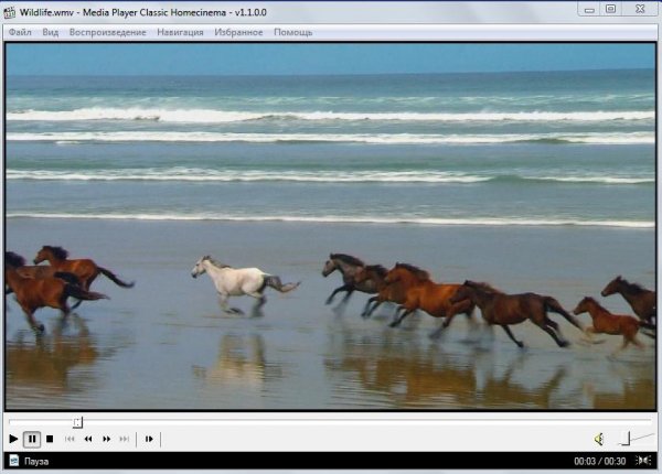 Media Player Classic Home Cinema v1.1 (P