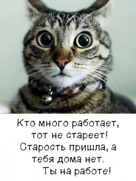 IMG 20260126 203934