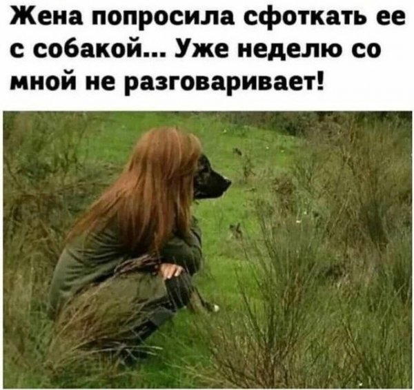 file_102336630