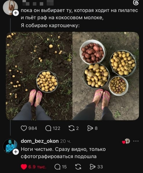 file_103246477