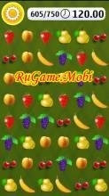 fruitbuster