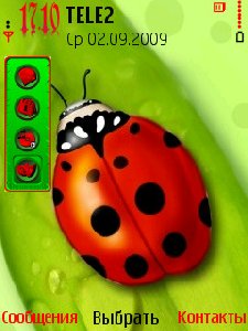 Ladybird by qwad