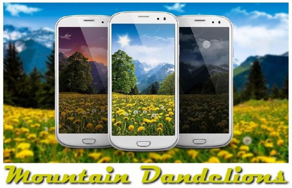 Mountain Dandelions PRO - v1.15 b8 crk