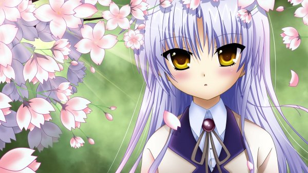 Anime Канаде Тачибана Tenshi..file
