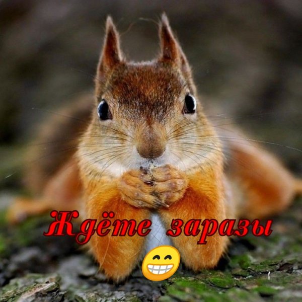 IMG 20200107 133657