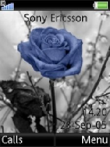 birth of a blue rose 4,8