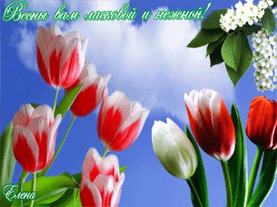 file_55796721