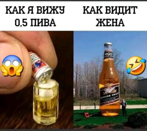 file_103352584