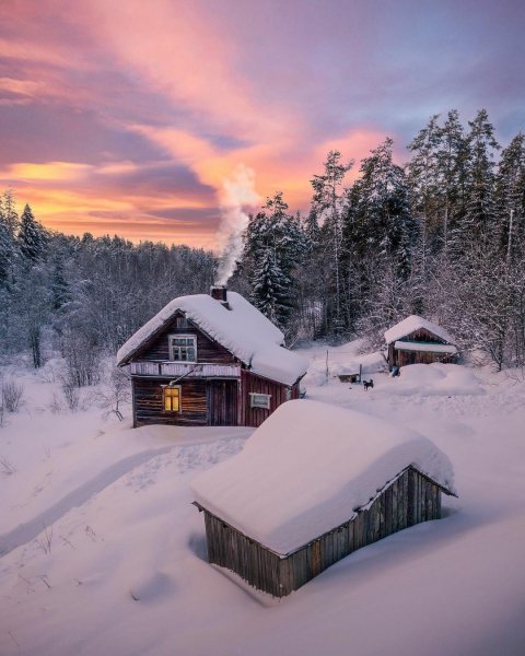 file_95408683