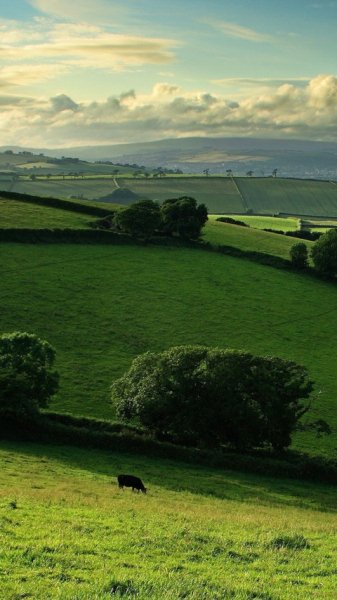wallpaper 480x854 5 24