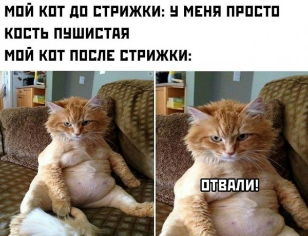file_102564410