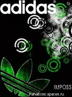 Adidas5