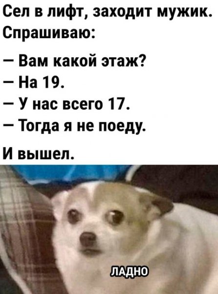 file_99457016