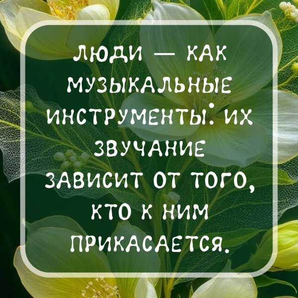 IMG 20250815 082634 699