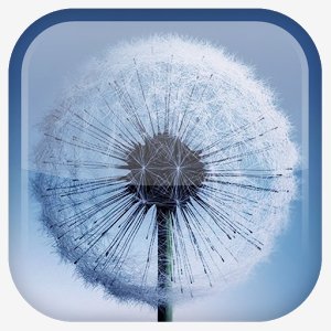 Galaxy S3 Dandelion - v.1.6.0