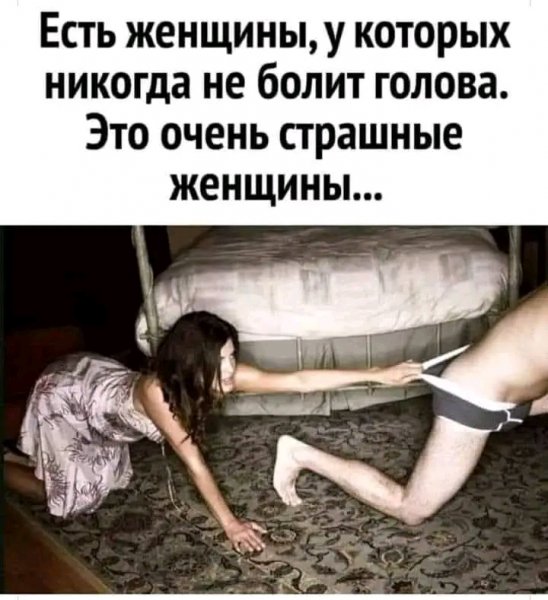 file_103027206