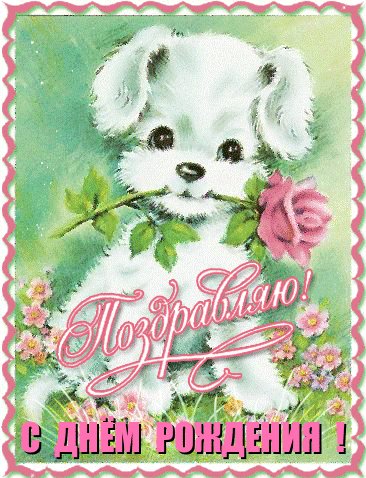 image (4)