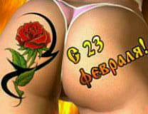 23
