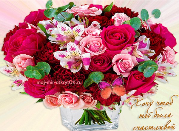 image (37)