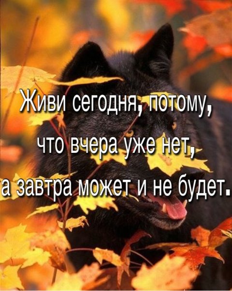 Помни