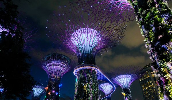 Singapore-Parks-Night -1