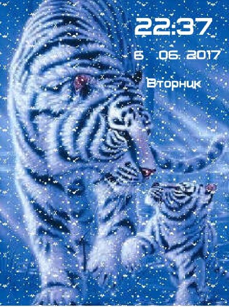 Тигры