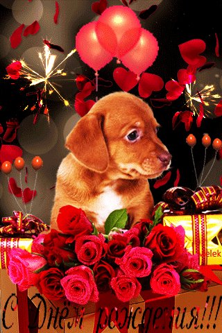 file_71863569