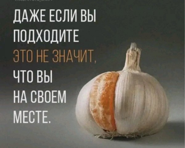 file_103420812
