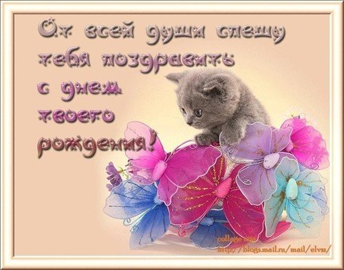 С днём рождения!!.!..!, 126298179460