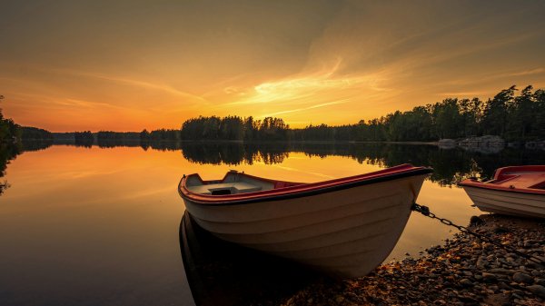file_94697289