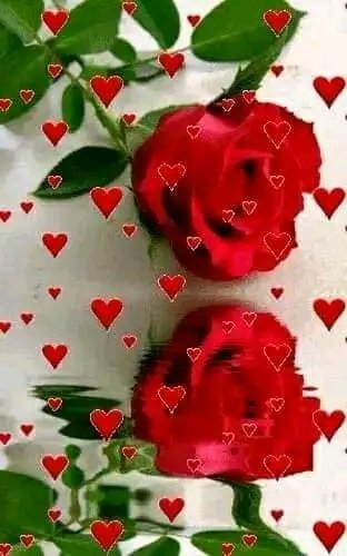 file_95695453