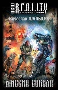 3.Миссия Сокола