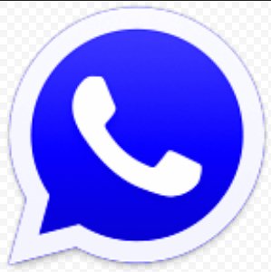 WhatsApp+v6.95-2.19.17@alman RUS
