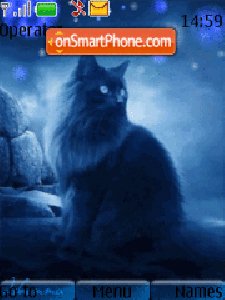 cat