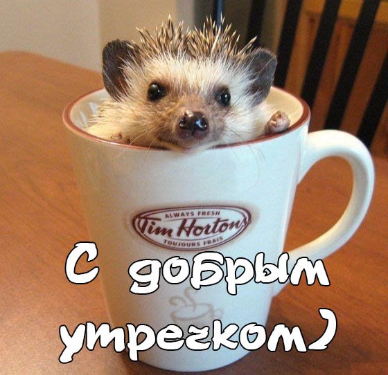 С добрым утречком