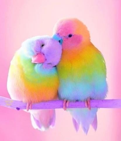 ok-saved-image-D81601857CA5DE36B02A2C79EB726945
