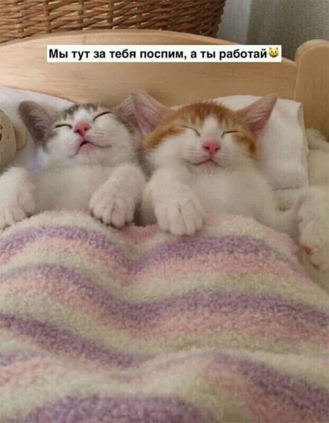 file_89992612