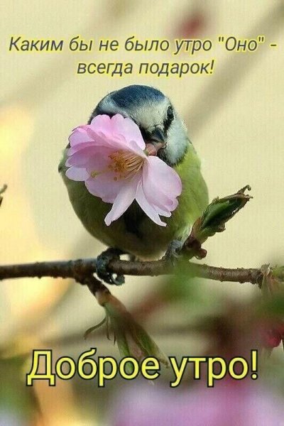 file_93439207